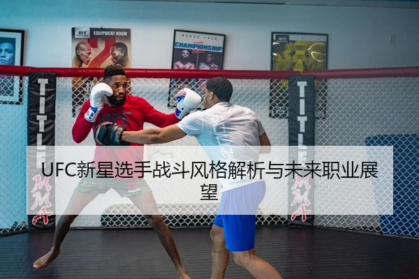 UFC新星选手战斗风格解析与未来职业展望